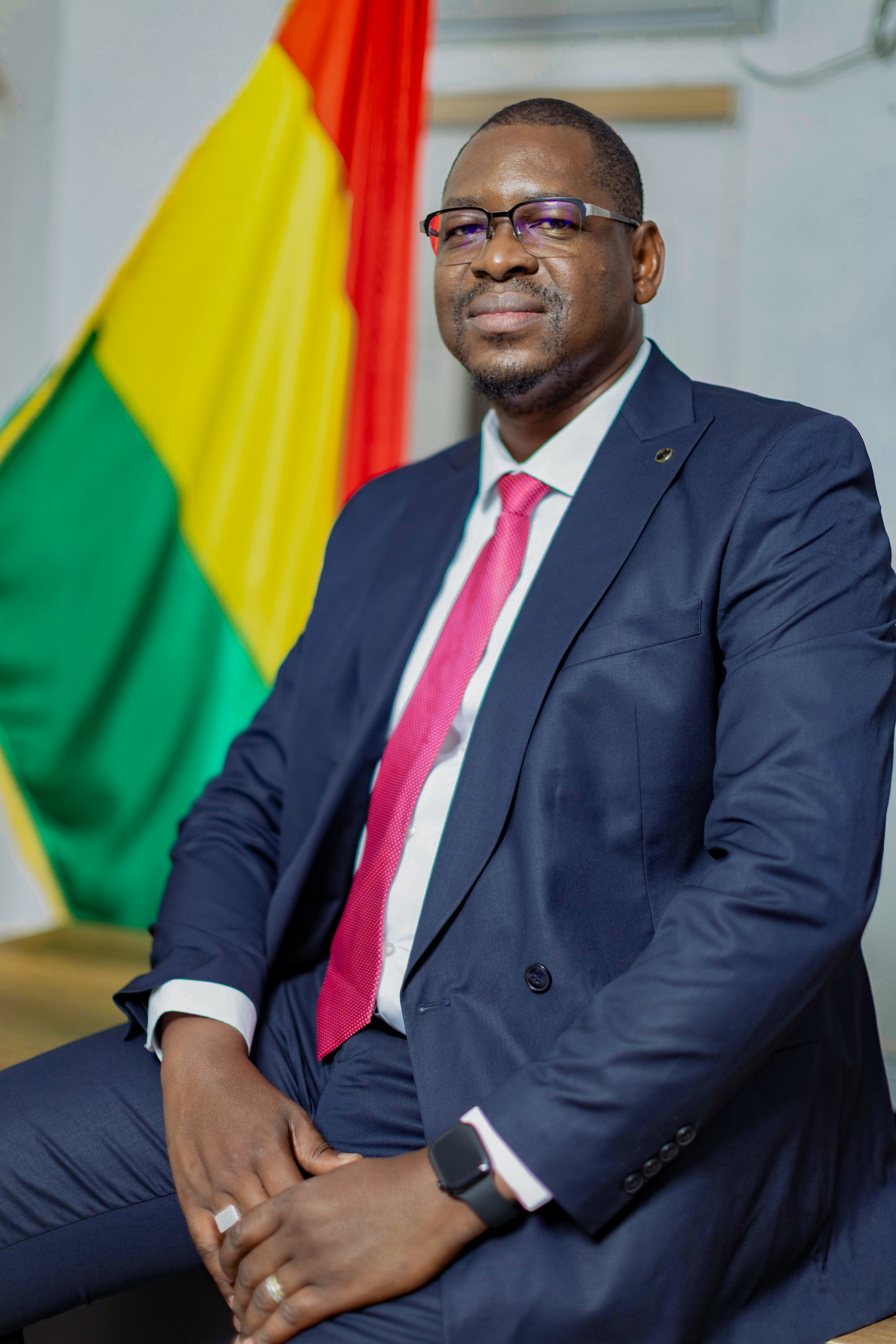 Directeur Général - AGEROUTE Guinée